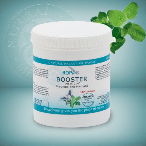 Ropa-B Ropa-B BOOSTER 'All in One' PROBIOTIC & Prebiotic