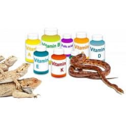 Vitamines Reptielen & Amfibieën