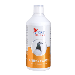 Cest-pharma AMINO FORTE 1000 ml