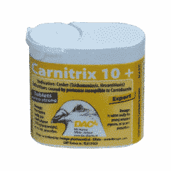 Carnitrix 10+