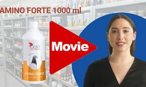 Cest Pharma - Amino Forte