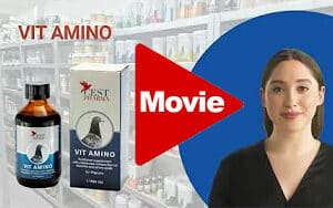 Cest Pharma - Vita Amino