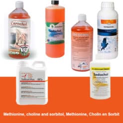 Methionine, choline and sorbitol, Methionine, Cholin en Sorbit