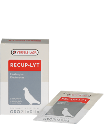 Oropharma Recup-Lyt 240gr