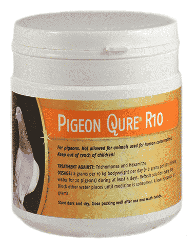 PigeonQure® R10