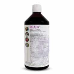 Ready_1l