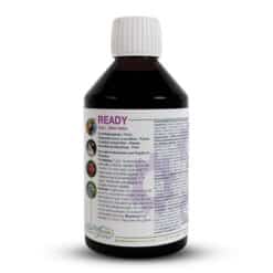 Ready_250ml