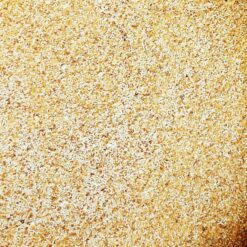 NeorniPharma PUUR BIERGIST 1000g