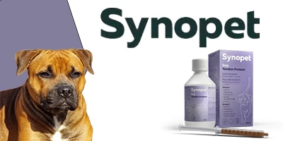 Synopet Dog