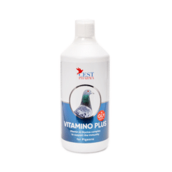 Cest-pharma VITAMINO PLUS 1000ml